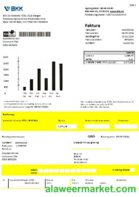 Norway BKK electricity business utility bill template in Word and PDF formats, good for address prove